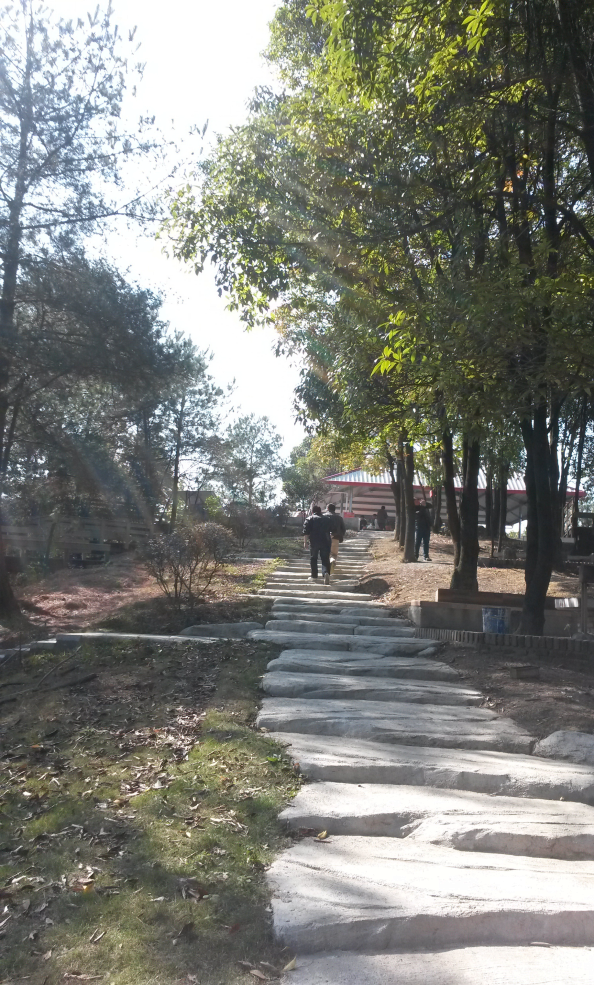 �½������(�й���)�ٷ���վ